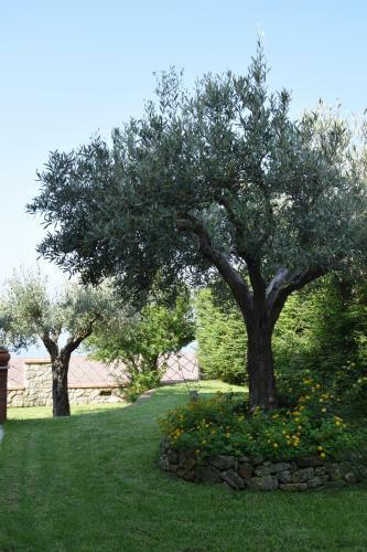 Bed & Breakfast Al Chiaro Di Luna