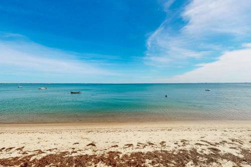 Cape Stunner