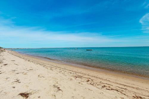 Cape Stunner