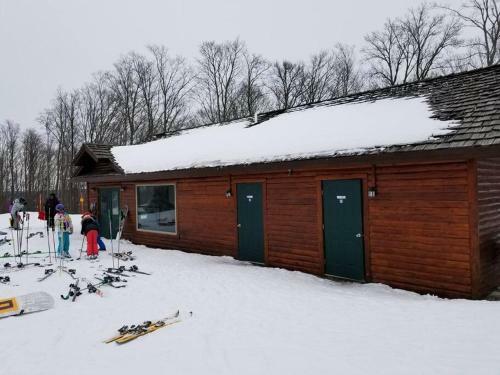 Boyne Mountain Condo -sleeps 12