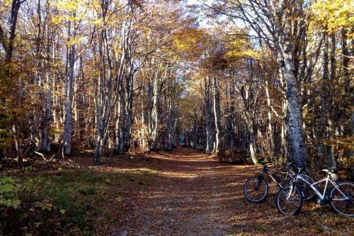 Le Chalet De La Duni�res