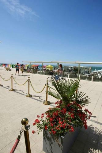 Apartamento Location Saisonni�re