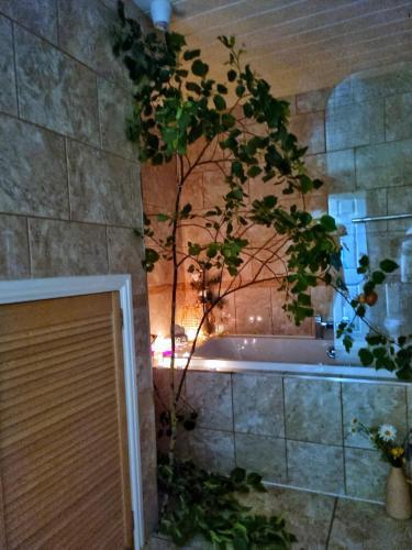Apartamento Atehene Castle Newcastle City