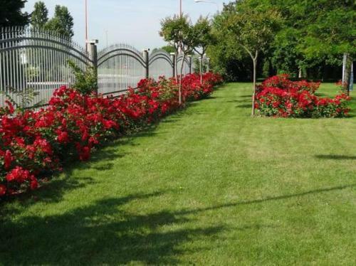 Villa Giusy B&B