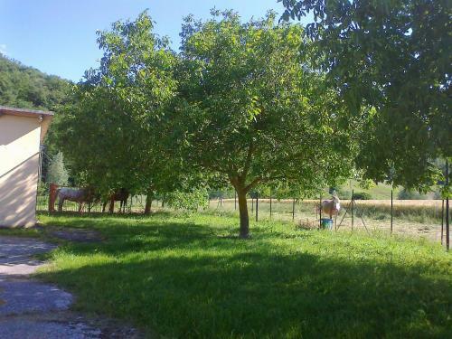Agroturismo Domus Laetitiae Santa Croce