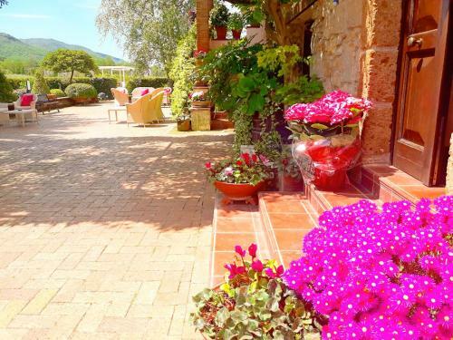 Il Casale Di Riardo B&B