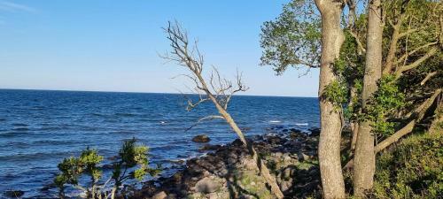Apartamento Strandnahe Gartenwohnung