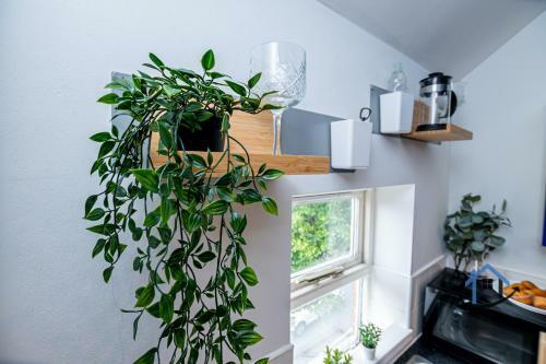 Apartamento Flat 5, Sneinton