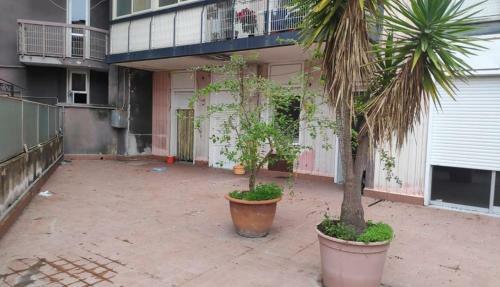 Hostal Casa Fiore