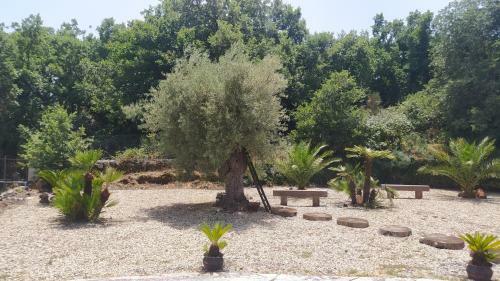 Hostal Antico Palmento Dell'etna