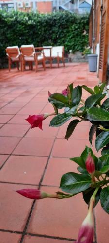 Apartamento Appartamento Comodo Per Lerici E 5 Terre