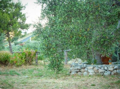 Apartamento Casa Vacanze Da Grazia Peschici