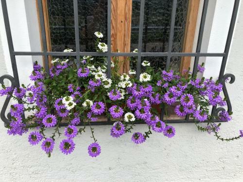 Bed & Breakfast B & B Al Remo'n