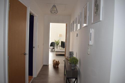 Lovely 2-bed Apartment In Paisley