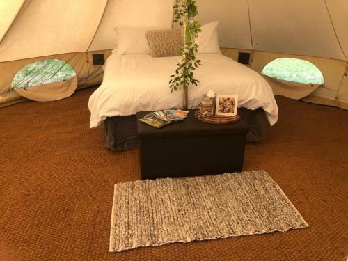 Pop Up Pembrokeshire
