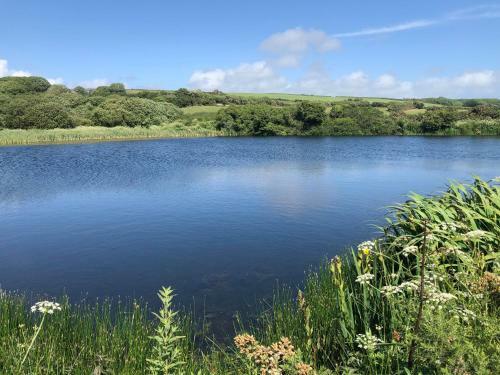 Pop Up Pembrokeshire