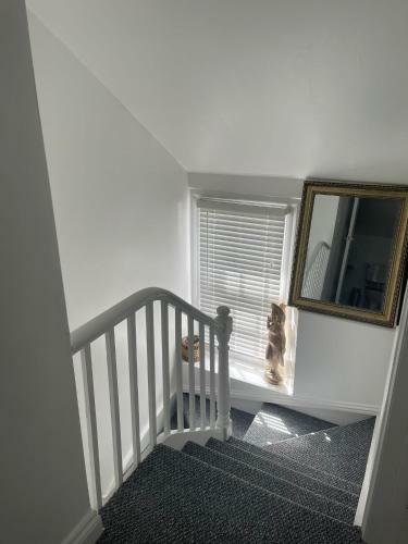 Self Contain Apartment On The Barbican 3 Bed