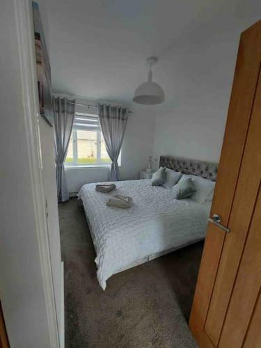 Sunny Modern House In Weymouth With Parking