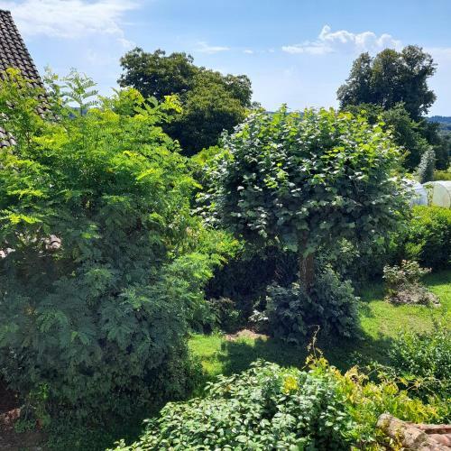 Apartamento Le Potager De Puy Marot