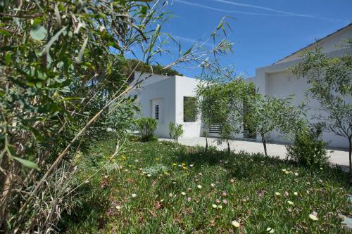 Villa D'architecte Pieds Dans L'eau 800m Parc Galea