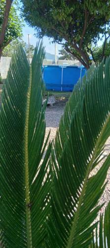 Hostal Garden Green Da Virna