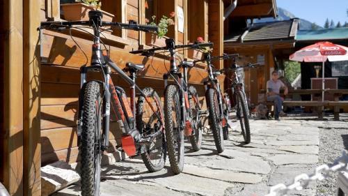 Camping Village Yolki Palki