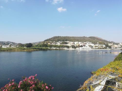 Apartamento Levante Holiday House