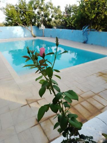 Apartamento Villa Paradise