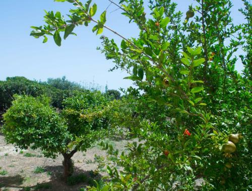 Apartamento Villa Ninetta
