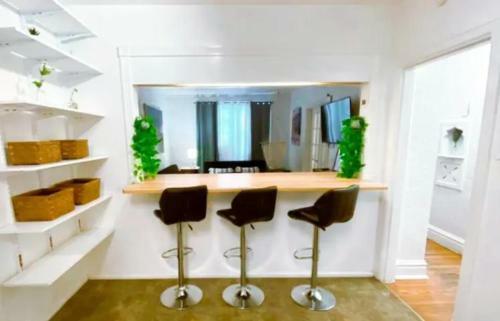 Apartamento (55.1s) Experience A True Stl Visit!