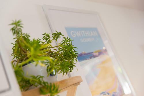 Hillywych Studio