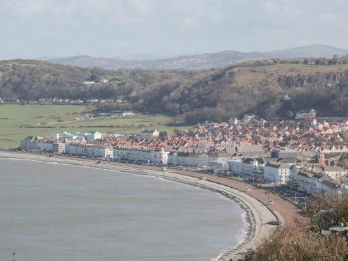 Mountain Ash