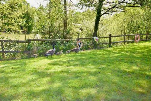 E7 Roebeck Country Park