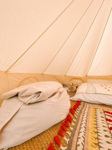 Glamping Near Polzeath Beach