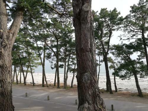 Apartamento Face A La Mer