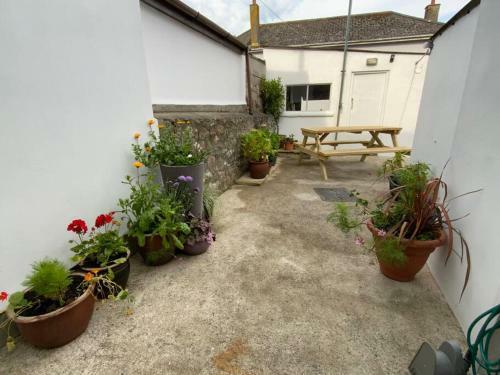 Spacious Miner?s Cottage, Great Reviews