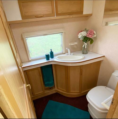 Homeleigh Farm Caravan