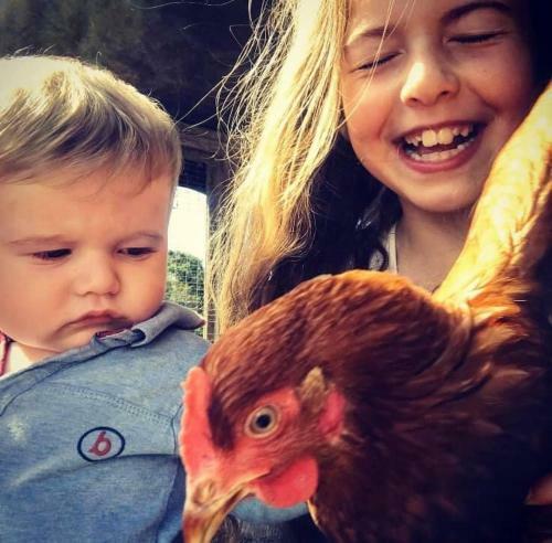 Homeleigh Farm Caravan