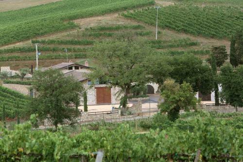 Agroturismo Agriturismo Bonacchi