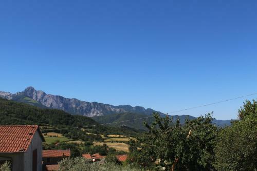 Apartamento Appartamenti Ca' De Riccio