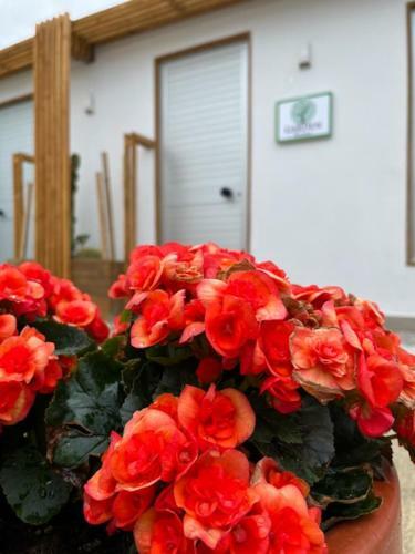 Hostal Garden Rooms