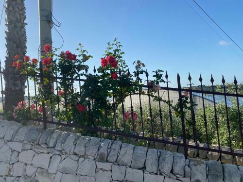 Villa Rosetta