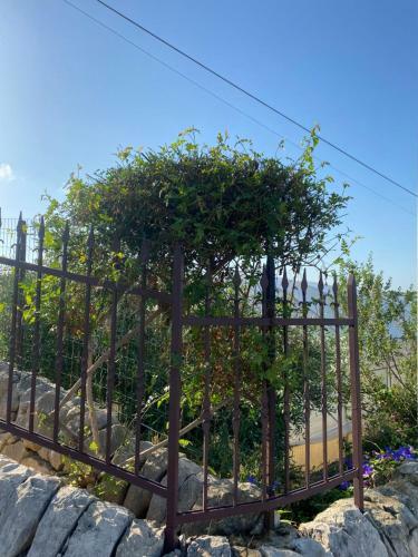 Villa Rosetta