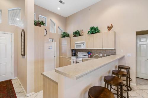Spring Creek Comfort
