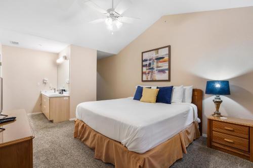 Spring Creek Comfort