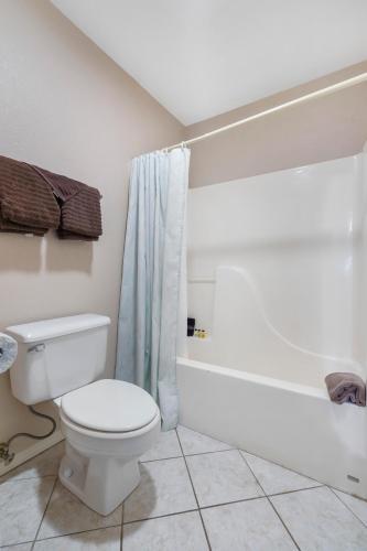 Spring Creek Comfort