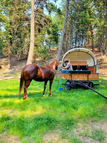 Agroturismo The Bugling Elk