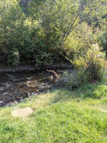 Magical Paradise Valley Hideout Nr Yellowstone Np