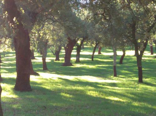 Agroturismo Sierras Y Valles