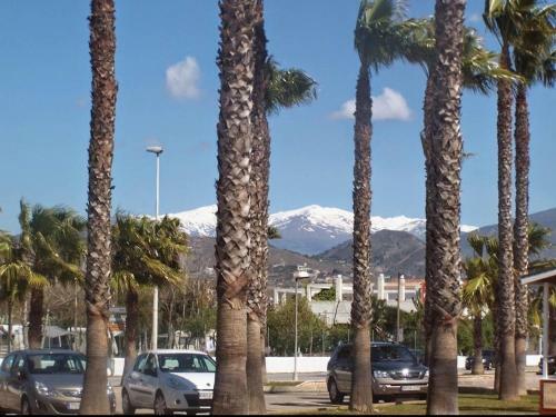 Apartamento Granada Beach Vacations With Swimming Pool Beach Camping Jacuzzi